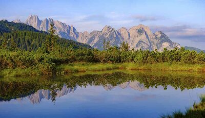 Panorama photo, the peaks of the Gosaukamm are reflected in the moor lake at Löckermoos, also Löckernmoos, high moor, nature reserve, Salzkammergut, Upper Austria, Austria, Europe