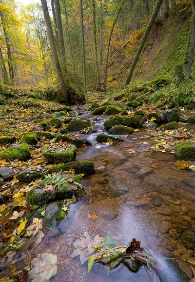 Kaskadenschlucht in der Rhön