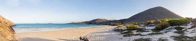 Galapagos