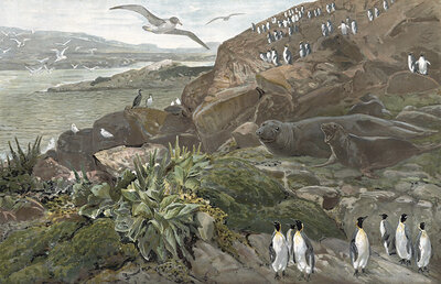 Landscape on the Kerguelen Archipelago, sub-Antarctic archipelago in the southern Indian Ocean, part of the French Southern and Antarctic Territories, authentic reproduction of a school mural, historic, around 1900