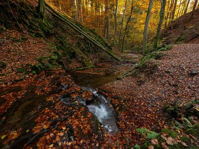 Kaskadenschlucht in der Rhön