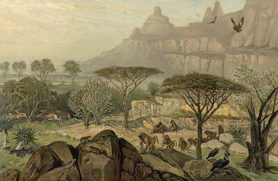 In the highlands of Abyssinia, today Simien National Park, also Semien National Park, Ethiopia, authentic reproduction of a school mural, historic, around 1900
