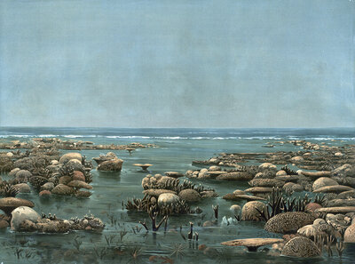 Woody Island, small island about 25 kilometers northeast of Port Douglas on the Coral Sea coast in northern Queensland, in Trinity Bay, Australia, authentic reproduction of a school mural, historic, around 1900