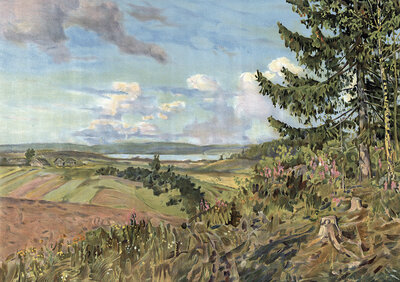 Valdai Hills, Waldai Heights is a plateau up to 347 m high in the European part of Russia, authentic reproduction of a school mural, historic, around 1900