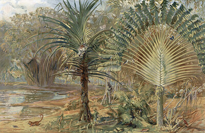 Prehistoric jungle in Madagascar, Africa, authentic reproduction of a school mural, historical, around 1900