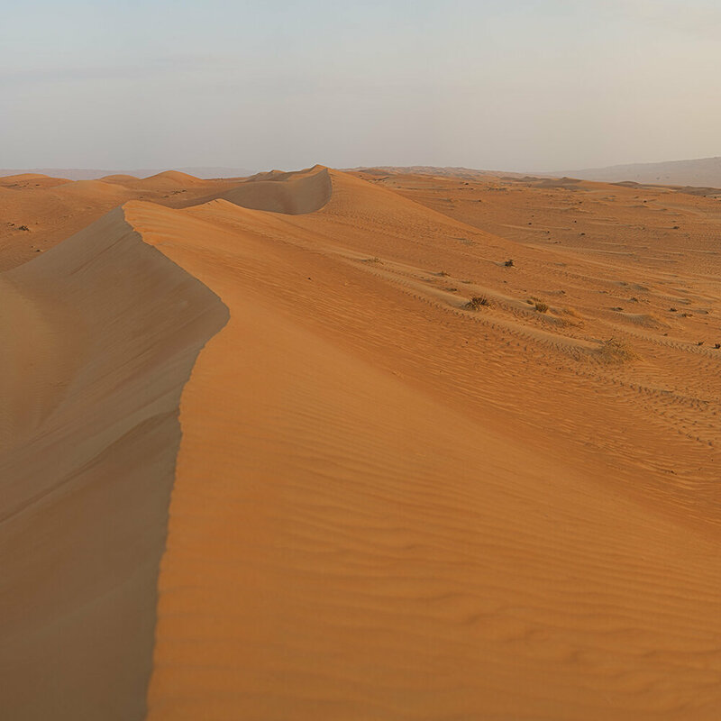 Desert4