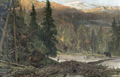 Coniferous forest in North America, Oregon, America, authentic reproduction of a school mural, historic, around 1900