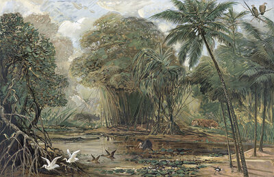 Landscape in the delta of the Ganges, India, authentic reproduction of a school mural, historical, around 1900