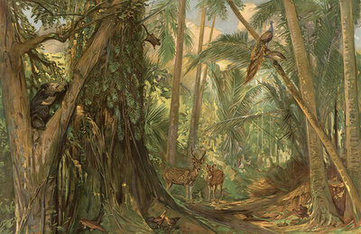 Landscape in the jungle of Ceylon, Sri Lanka, authentic reproduction of a school mural, historical, around 1900