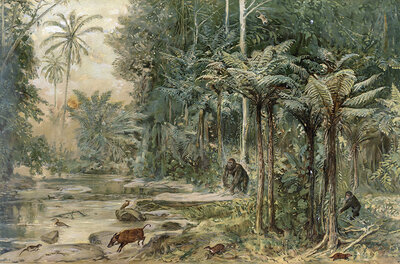 Rainforest on the equator in West Africa, authentic reproduction of a school mural, historical, around 1900
