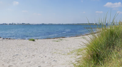 Strand12