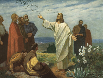 Scene from the biblical story, Jesus says, look at the birds under the sky: They don't sow, they don't harvest, they don't collect in the barns, and yet your heavenly Father feeds them. Look at the lilies in the field as they grow, authentic reproduction
