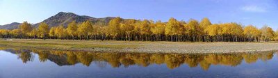 Panorama, autumnally coloured trees are reflected in the Tuul River at the entrance to the Gorchi Terelj National Park, Ulan Bator, Mongolia, Asia