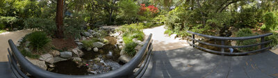 Japanese Garden