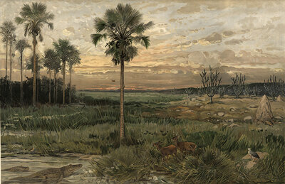 Llanos, wide plains in northern South America, which are mainly characterized by humid savannas, Colombia, authentic reproduction of a school mural, historic, around 1900