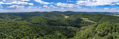 Thüringer Wald